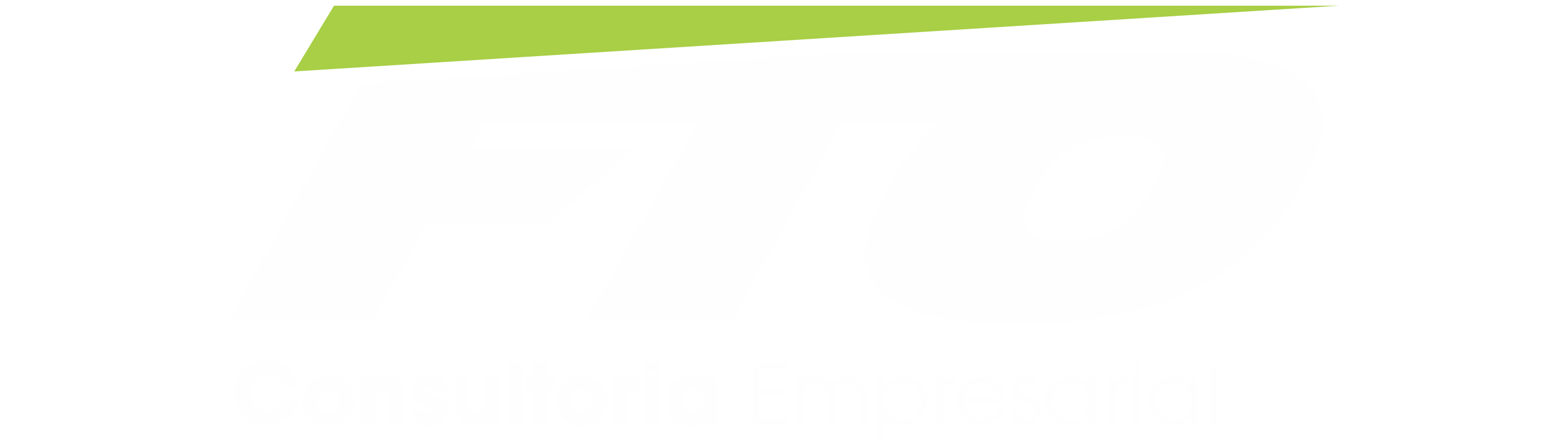 FTO Consultoria Empresarial